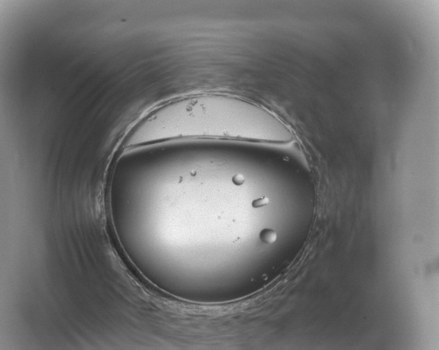 X0000067520002200604150212