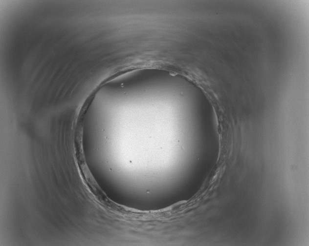 X0000067520003200604150212