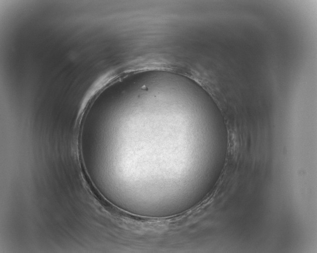 X0000067520004200604150212