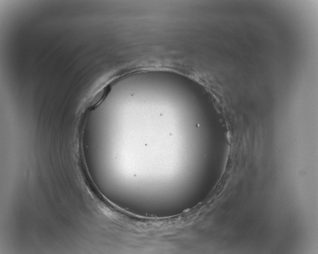 X0000067520005200604150212