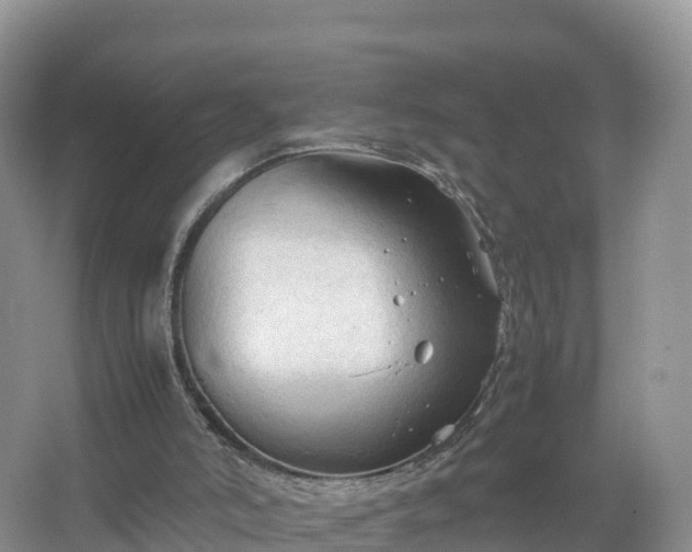 X0000067520006200604150212