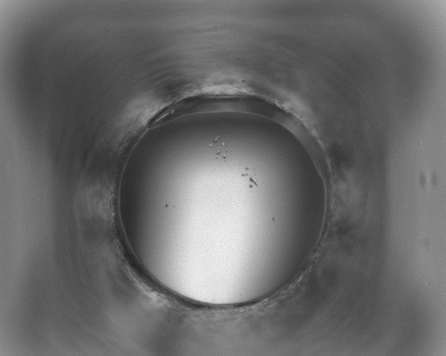 X0000067520009200604150212