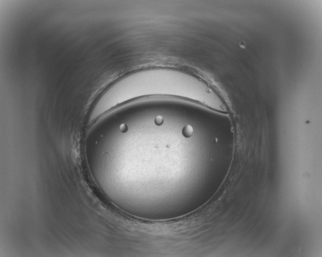 X0000067520010200604150212