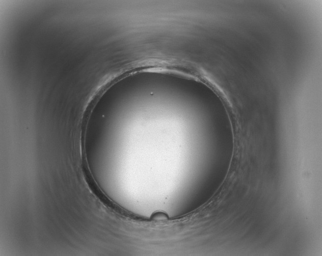 X0000067520011200604150211