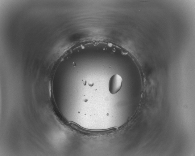 X0000067520013200604150211