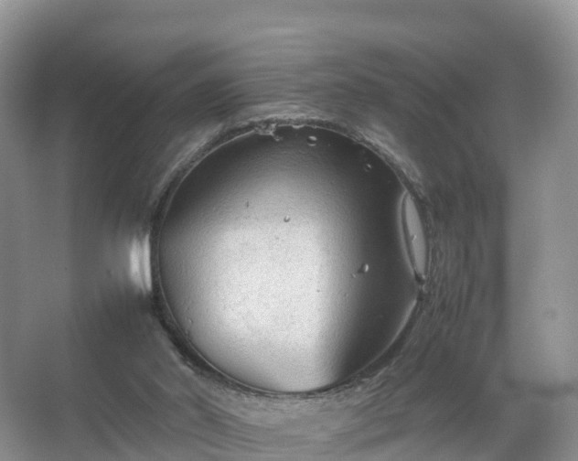 X0000067520014200604150211