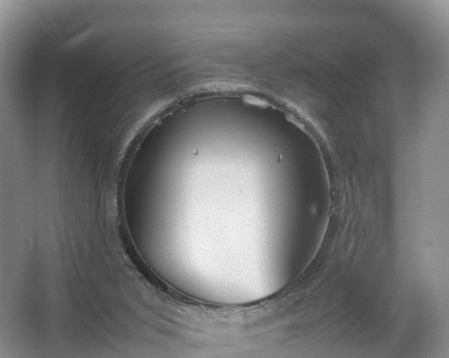 X0000067520015200604150211