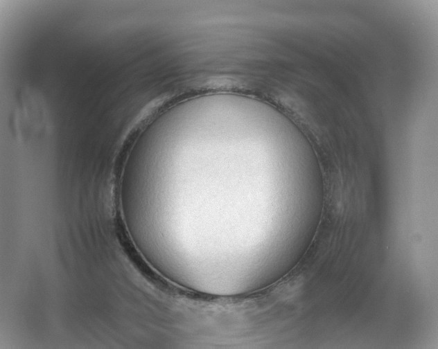 X0000067520016200604150211