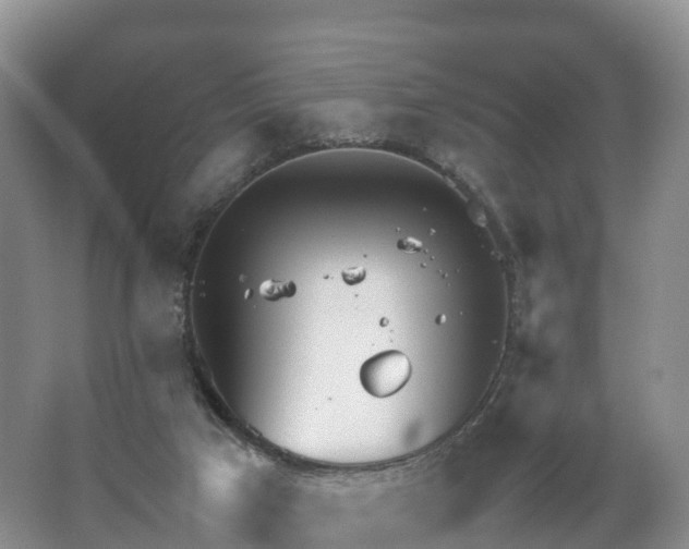 X0000067520017200604150211