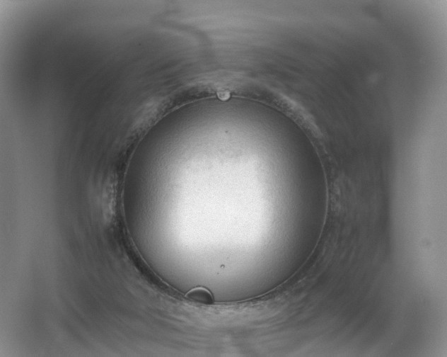 X0000067520018200604150211