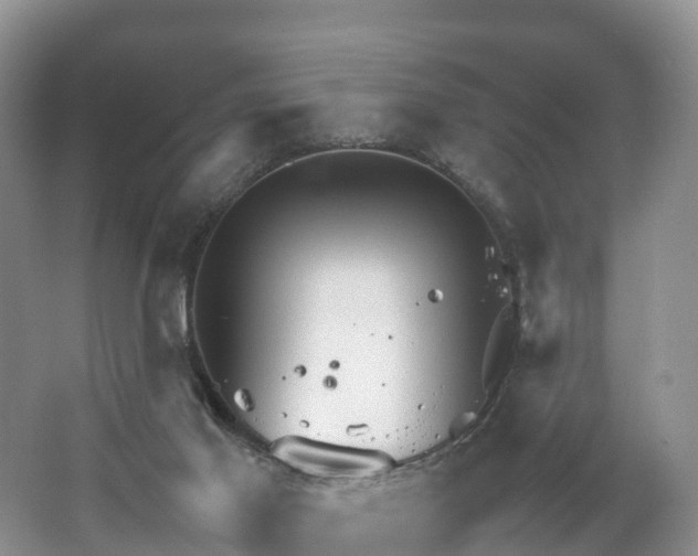 X0000067520021200604150211