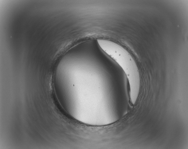 X0000067520023200604150211