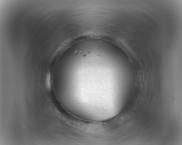 X0000067520024200604150211