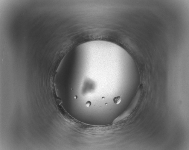 X0000067520025200604150211