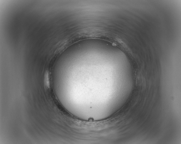 X0000067520026200604150211