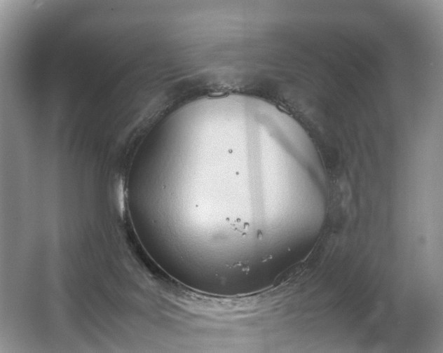 X0000067520027200604150211