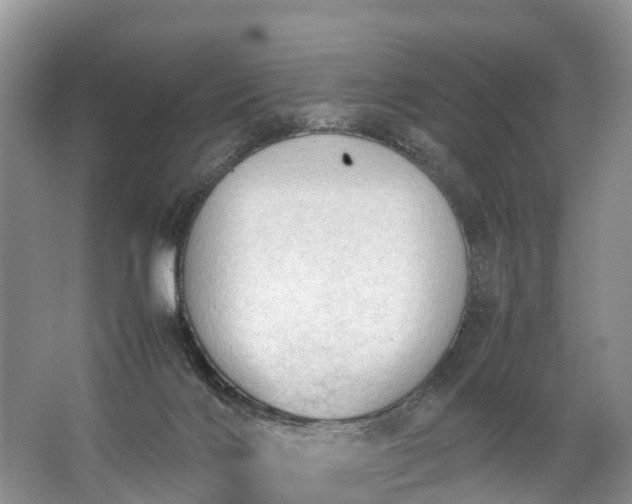 X0000067520028200604150211