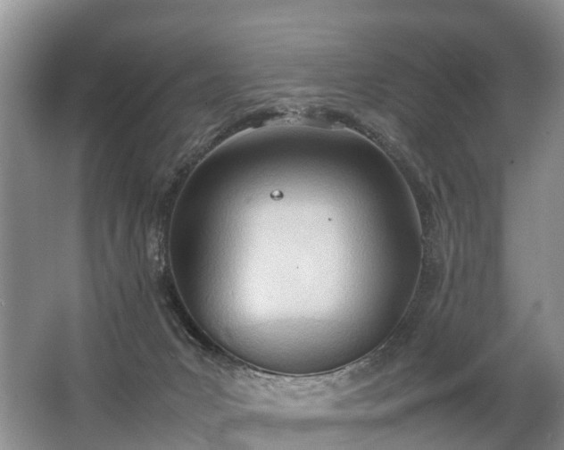 X0000067520031200604150211