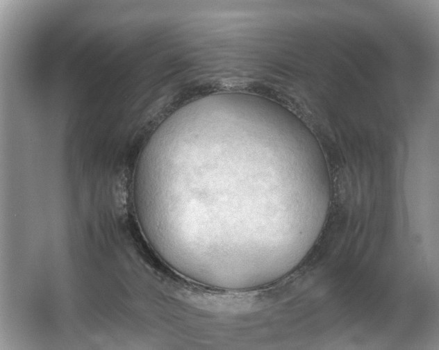 X0000067520032200604150211