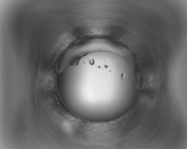 X0000067520037200604150211