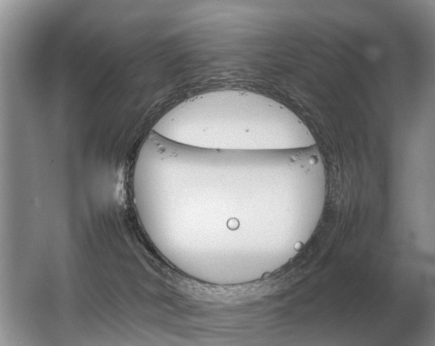 X0000067520038200604150211