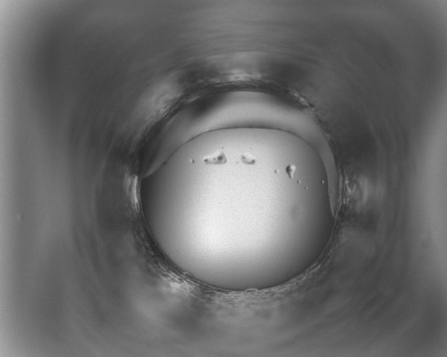 X0000067520041200604150211