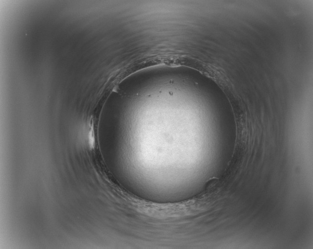 X0000067520042200604150211