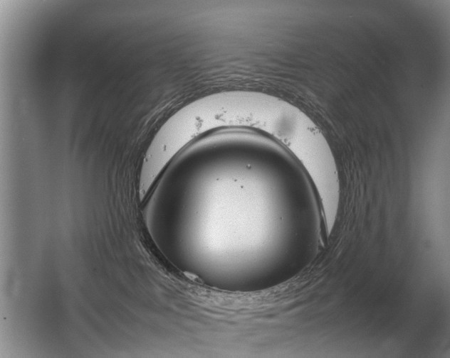 X0000067520043200604150211