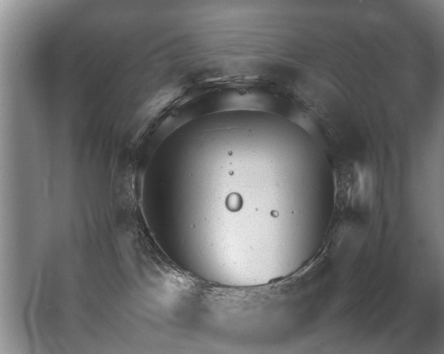 X0000067520045200604150211