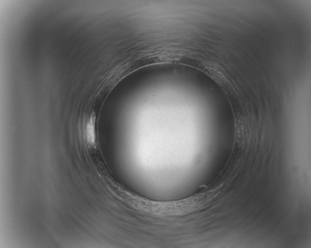 X0000067520046200604150211