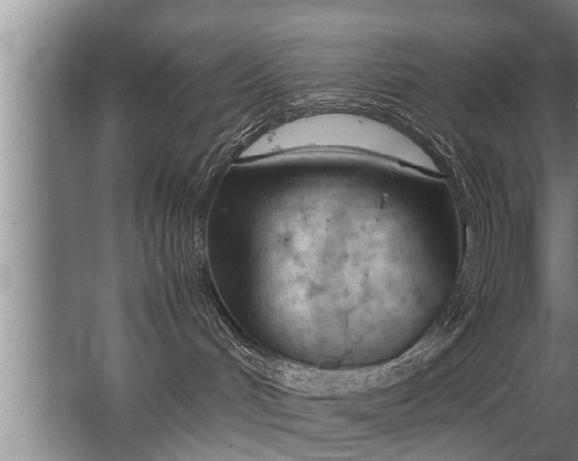 X0000067520048200604150211