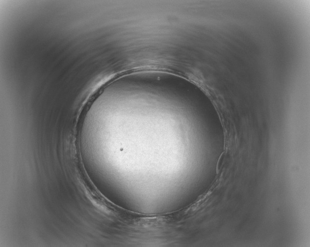 X0000067520050200604150210