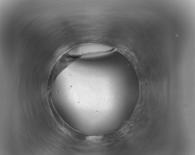 X0000067520051200604150210