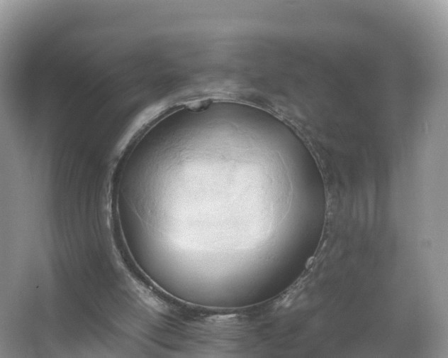 X0000067520054200604150210