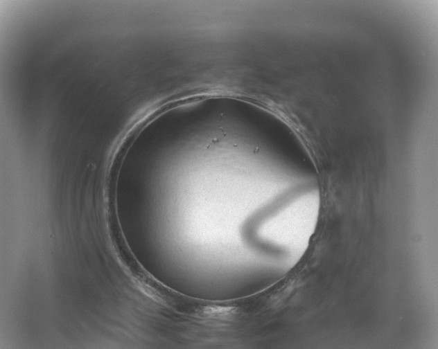 X0000067520055200604150210