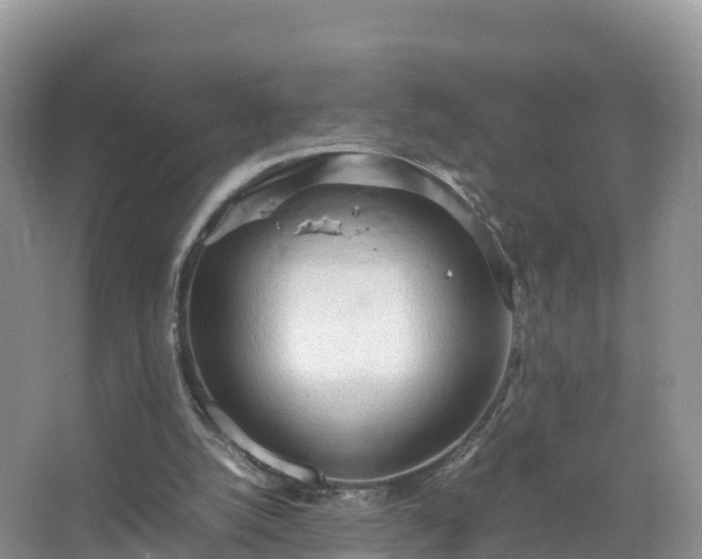 X0000067520056200604150210