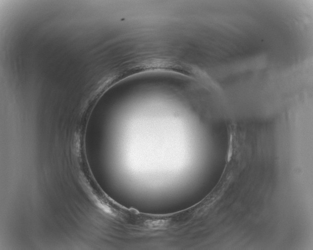 X0000067520057200604150210