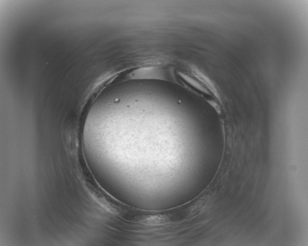 X0000067520059200604150210