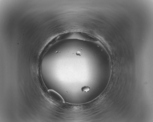 X0000067520060200604150210