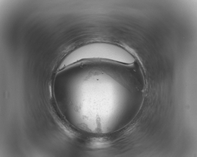 X0000067520061200604150210