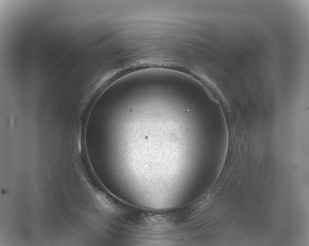 X0000067520062200604150210