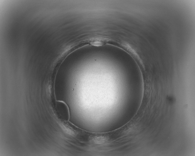 X0000067520063200604150210