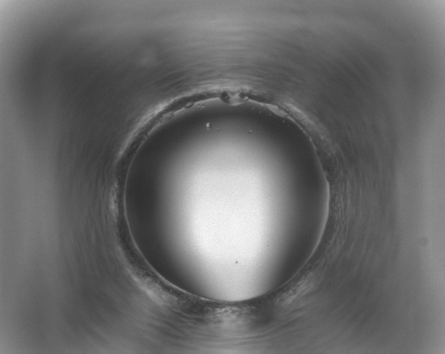 X0000067520064200604150210