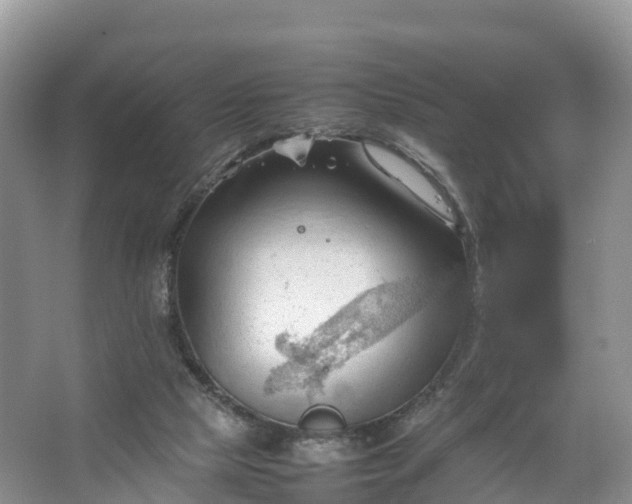 X0000067520065200604150210