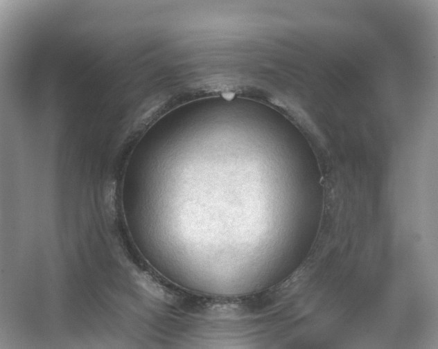 X0000067520066200604150210