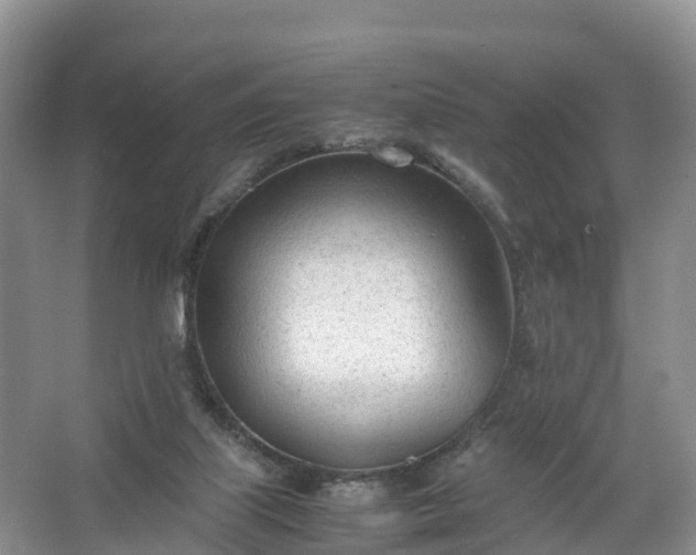 X0000067520067200604150210