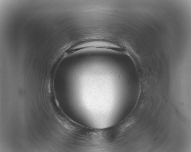 X0000067520068200604150210