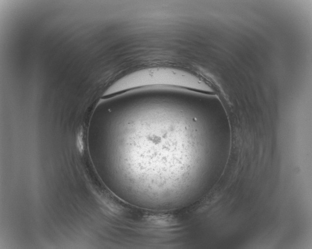 X0000067520069200604150210