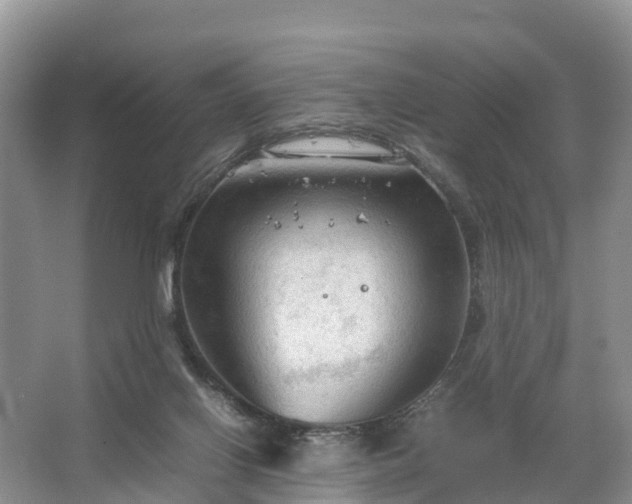 X0000067520070200604150210