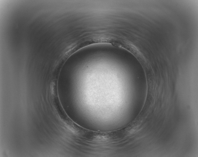 X0000067520071200604150210